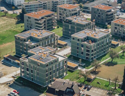 Oase Beckenhof Sursee